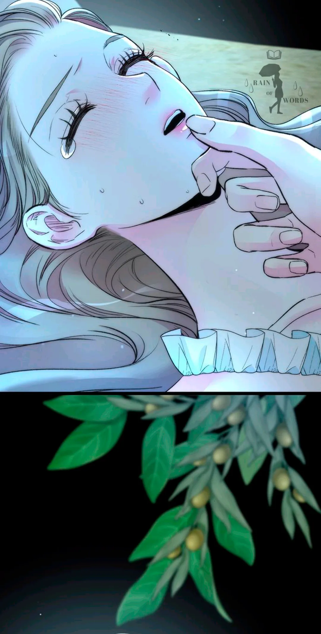 49 Príncipe problemático