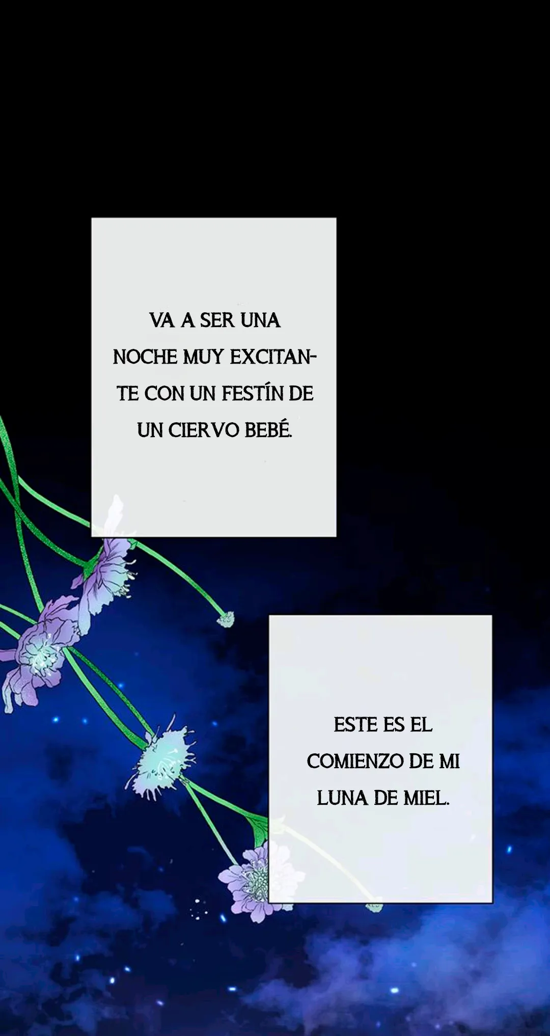 29 Príncipe problemático