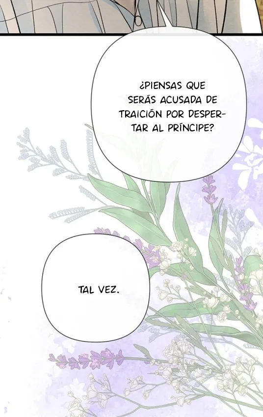 73 Príncipe problemático