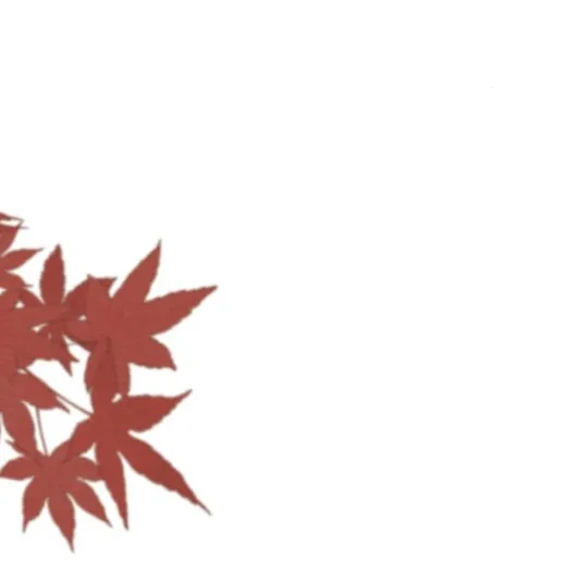 36 Príncipe problemático