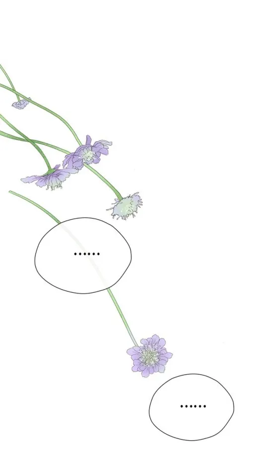 50 Príncipe problemático