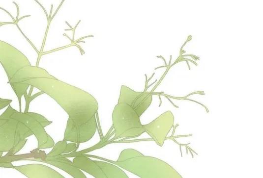 6 Príncipe problemático