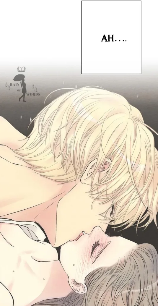 9 Príncipe problemático