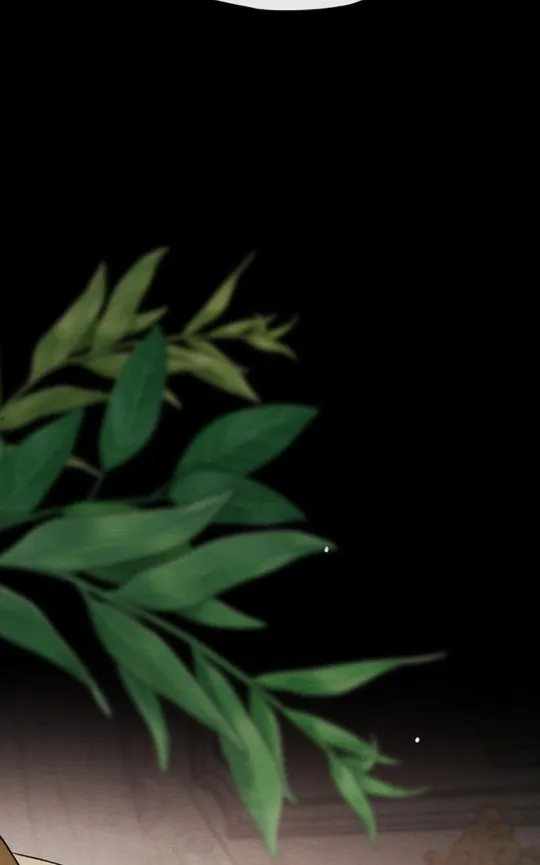 26 Príncipe problemático