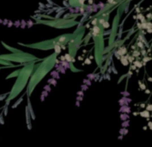 49 Príncipe problemático