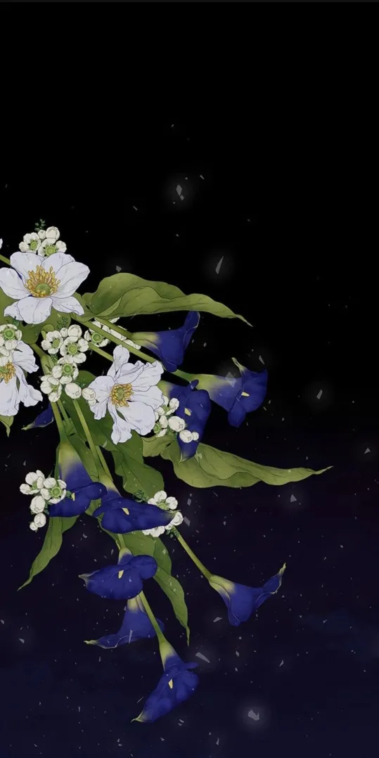 1 Príncipe problemático