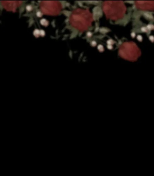 10 Príncipe problemático