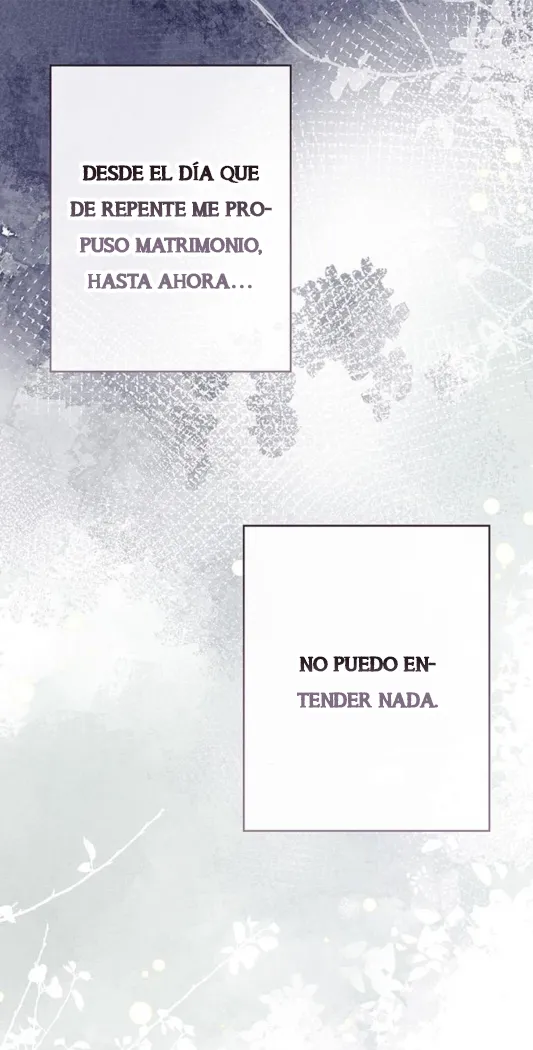 29 Príncipe problemático