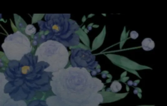 104 Príncipe problemático