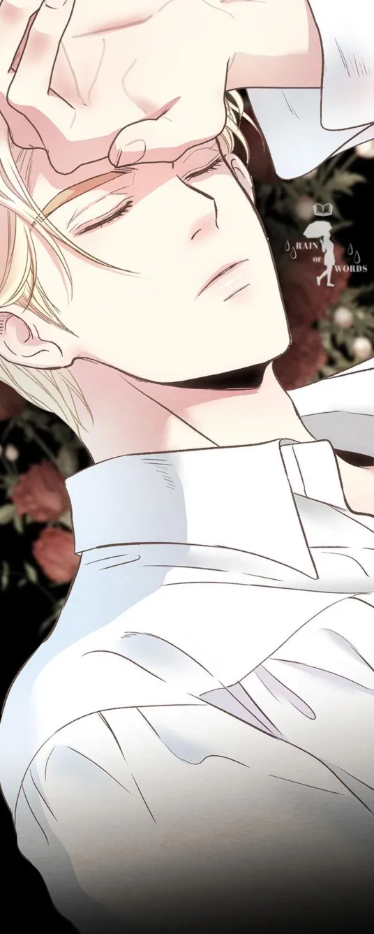 114 Príncipe problemático