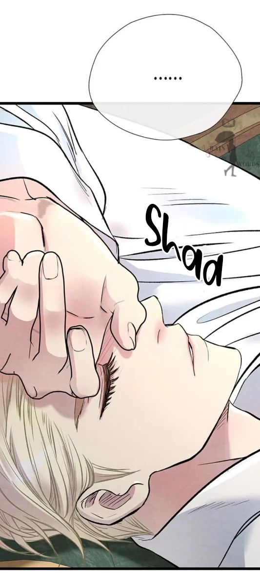 27 Príncipe problemático