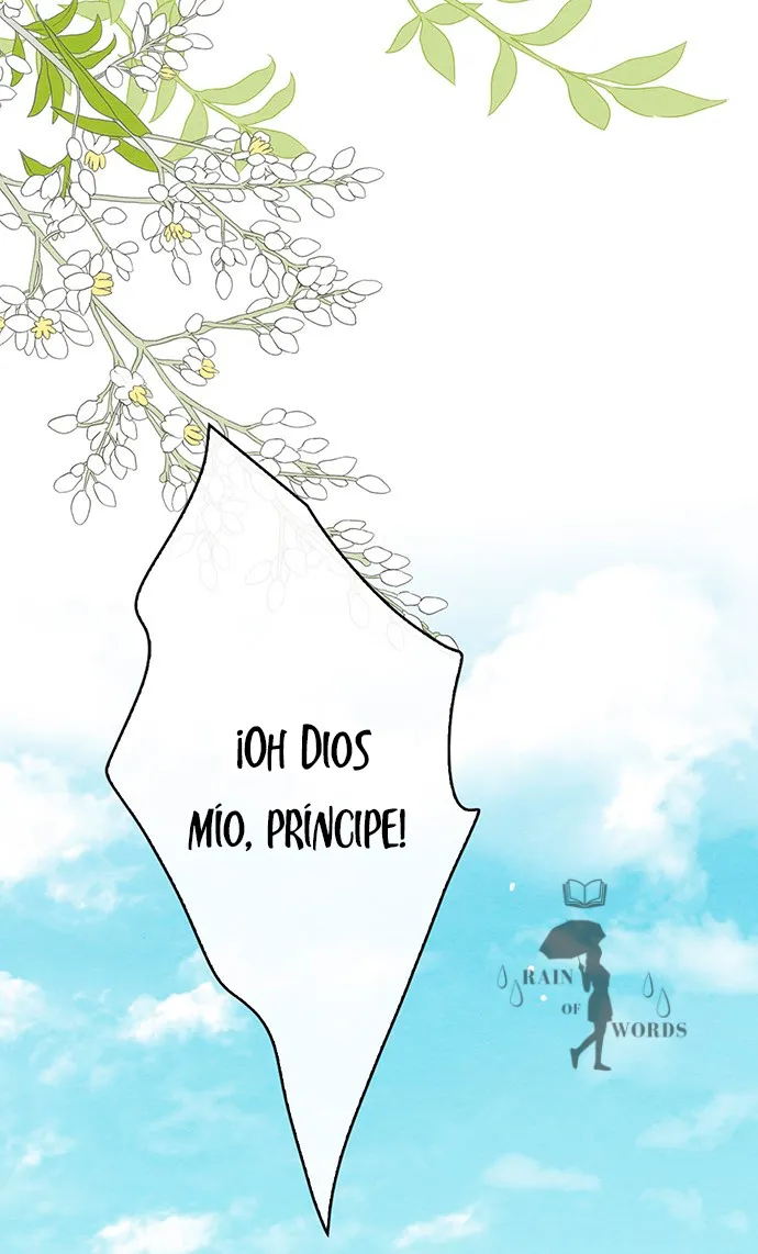 117 Príncipe problemático