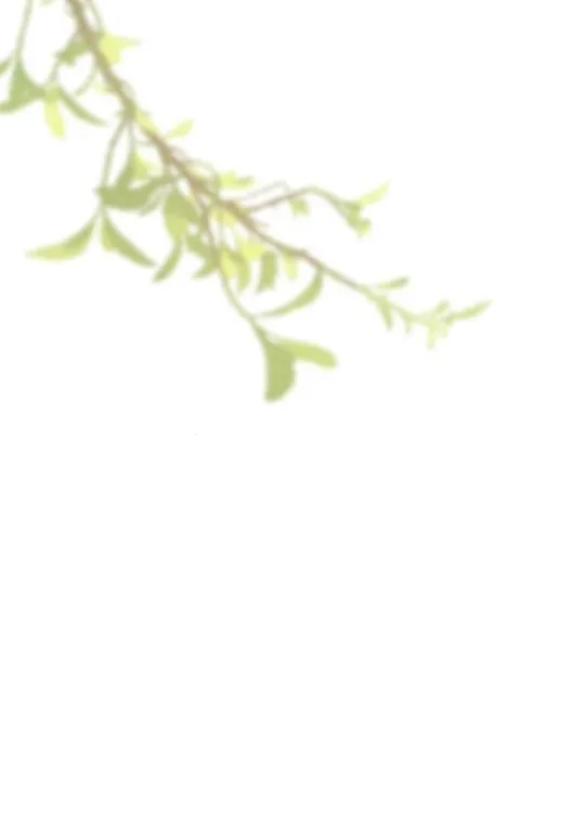 105 Príncipe problemático