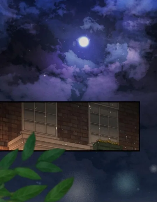 12 Príncipe problemático