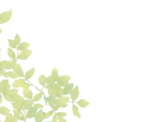 107 Príncipe problemático