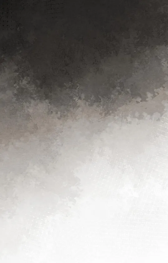 27 Príncipe problemático