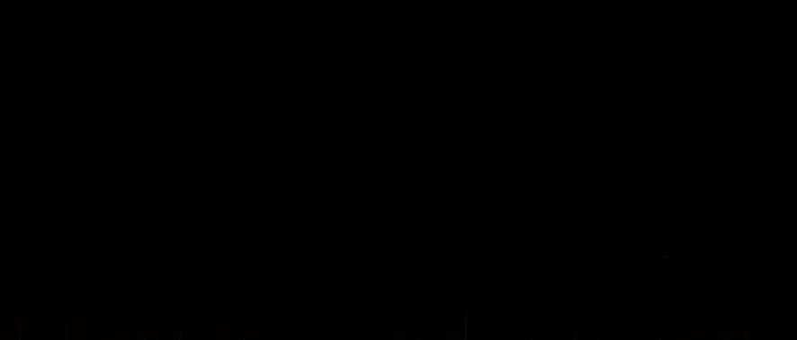 65 Príncipe problemático