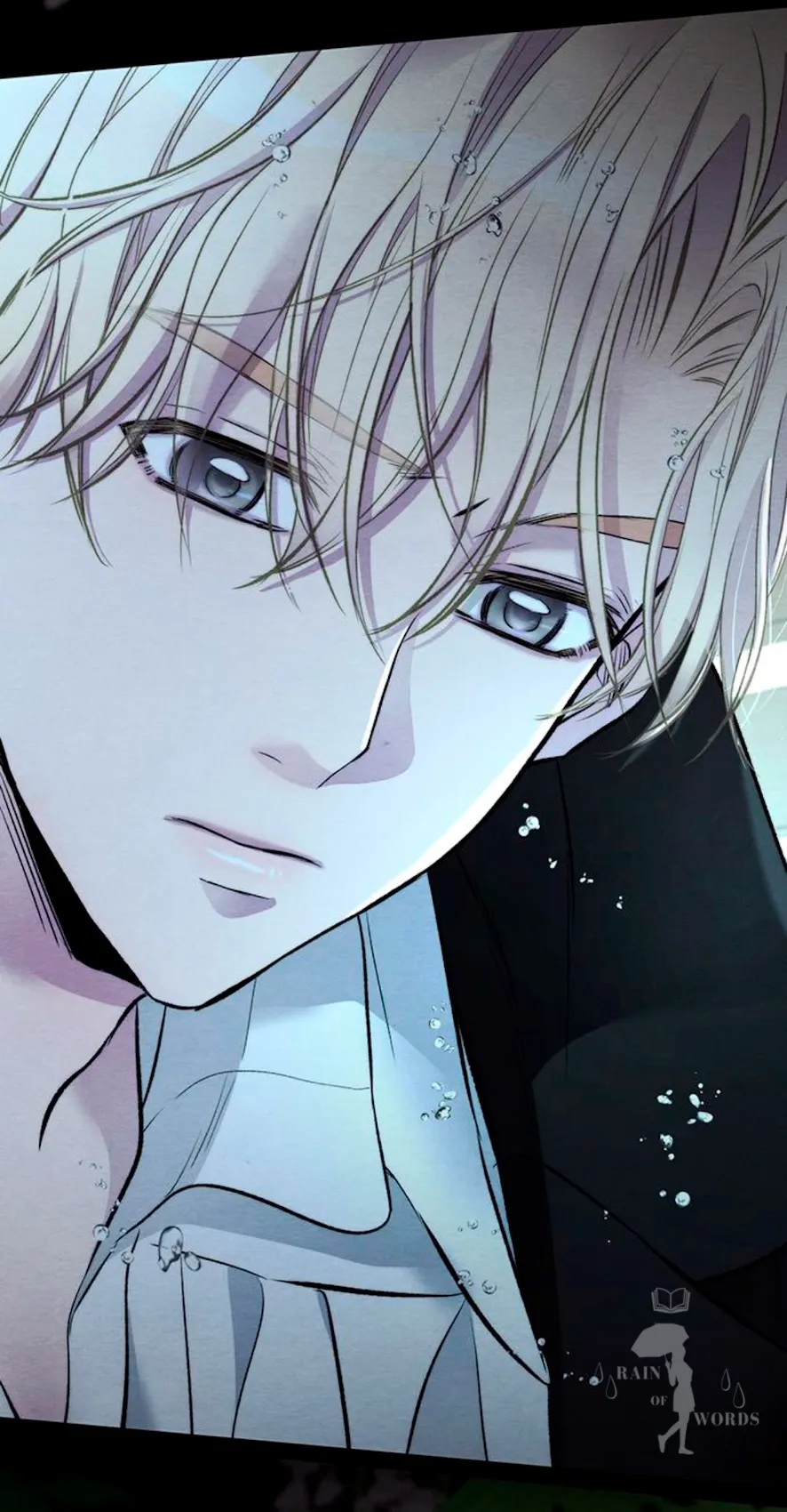 27 Príncipe problemático