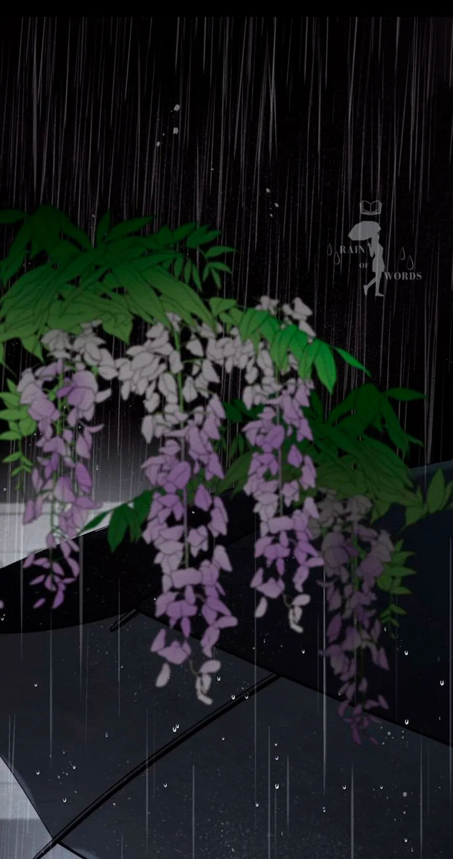 24 Príncipe problemático