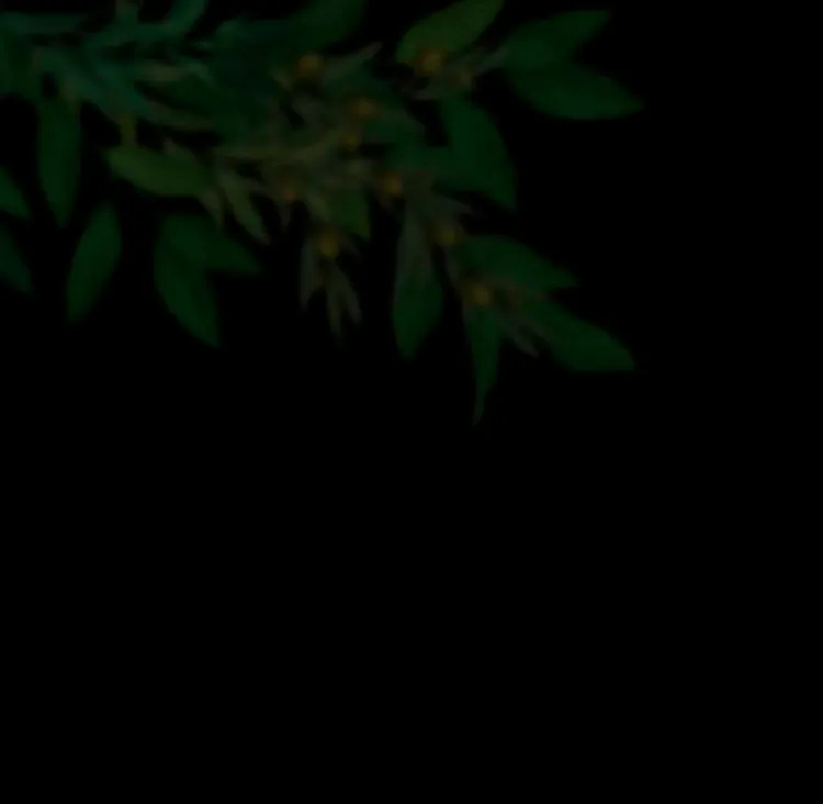 28 Príncipe problemático