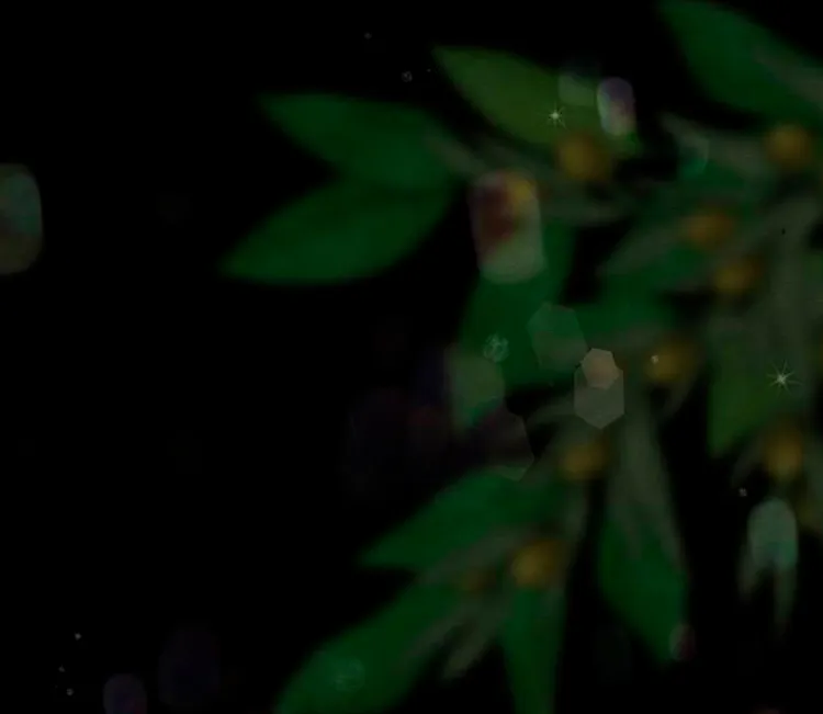 24 Príncipe problemático