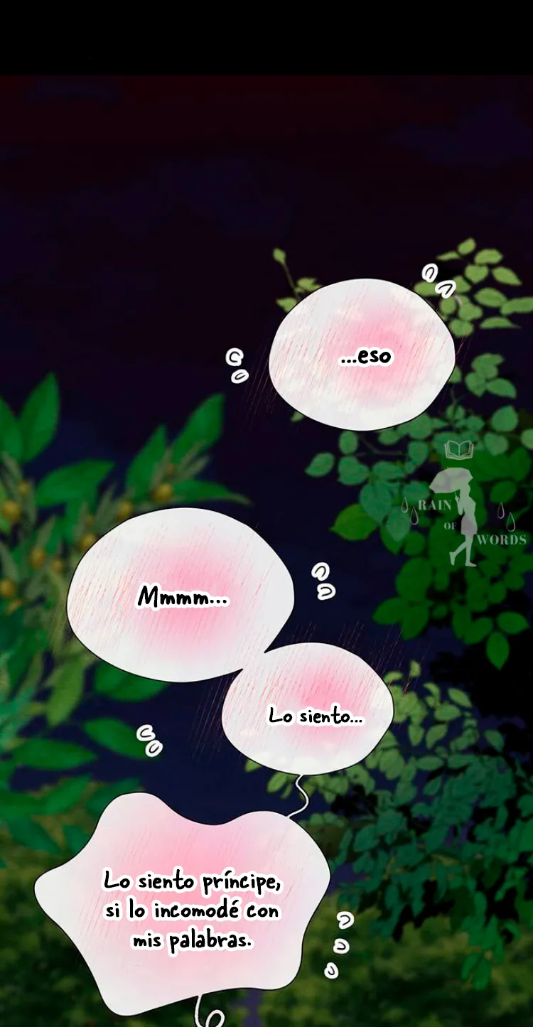 17 Príncipe problemático