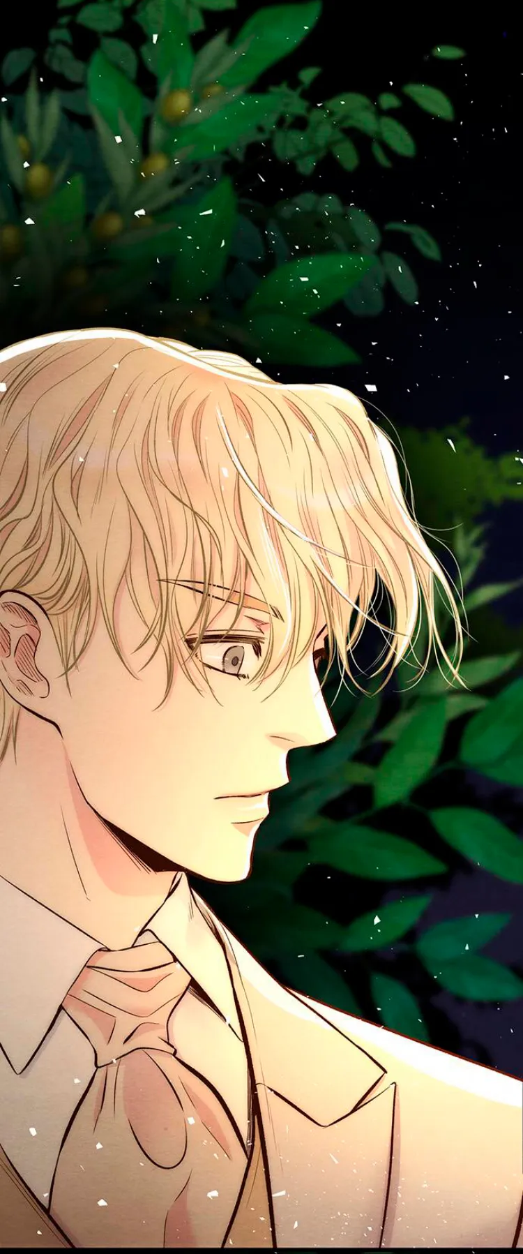 3 Príncipe problemático