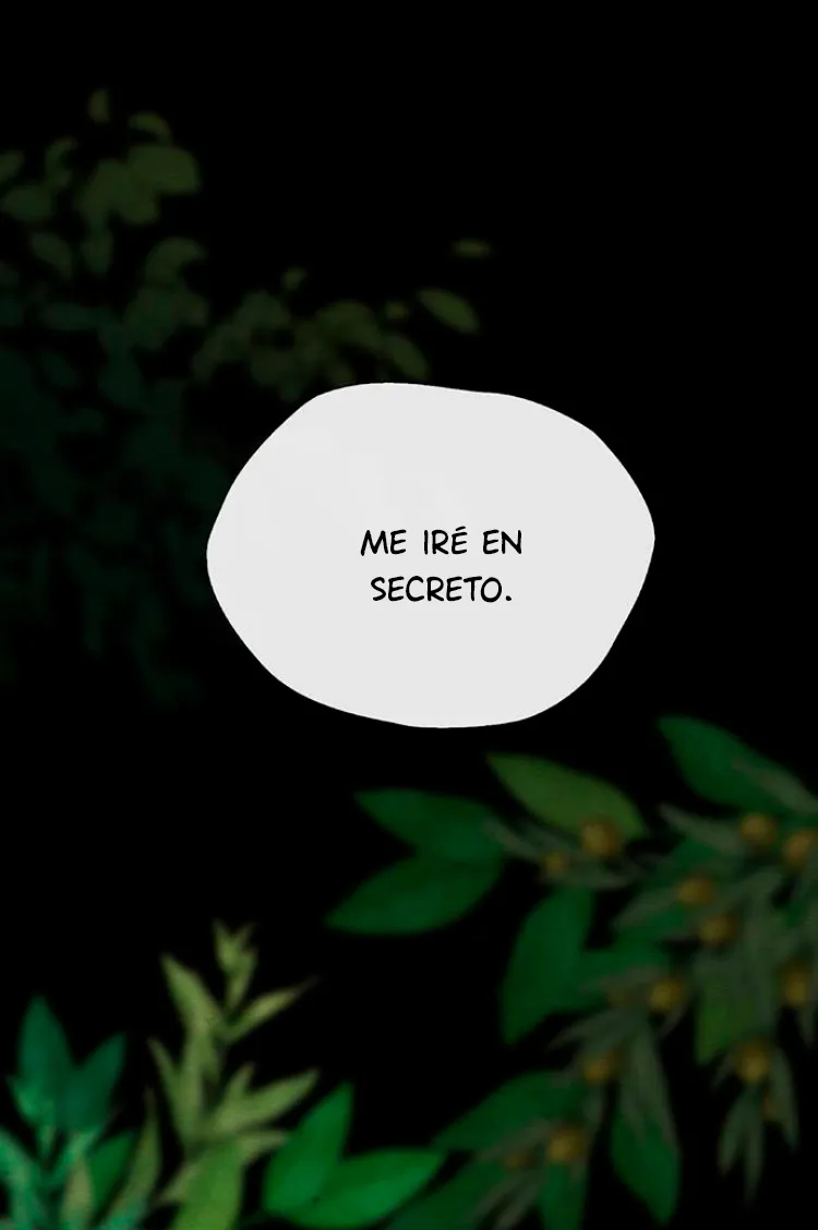 9 Príncipe problemático