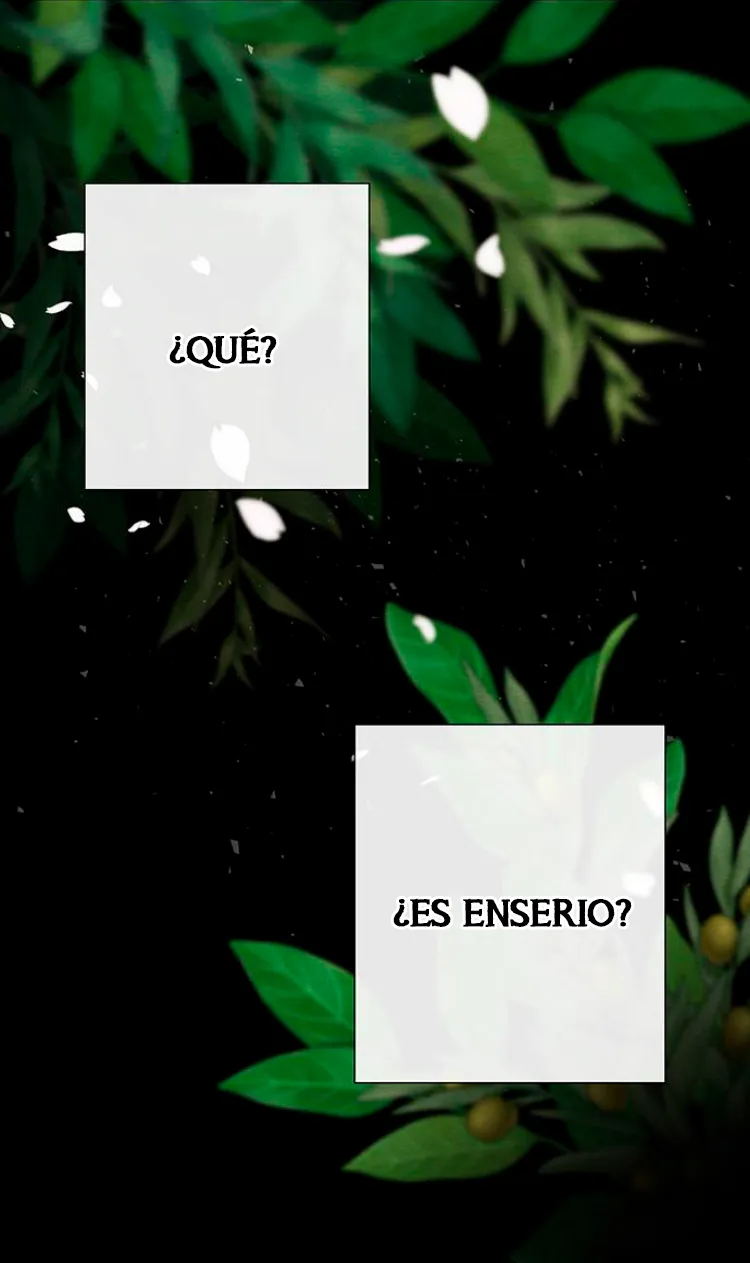 14 Príncipe problemático