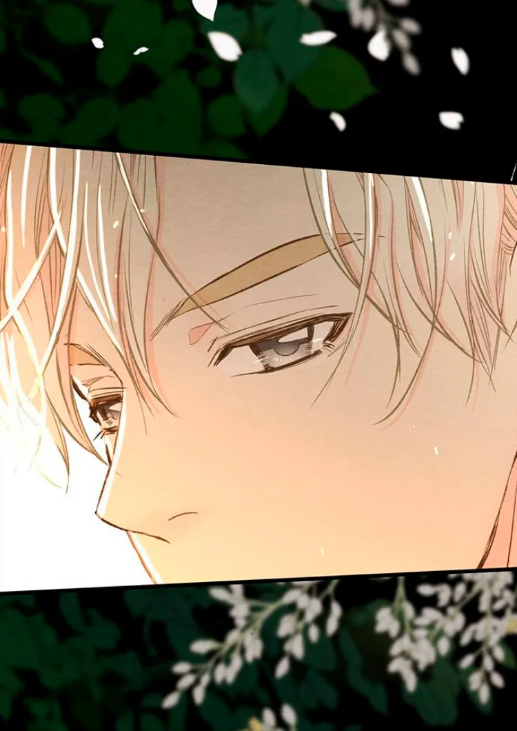 29 Príncipe problemático