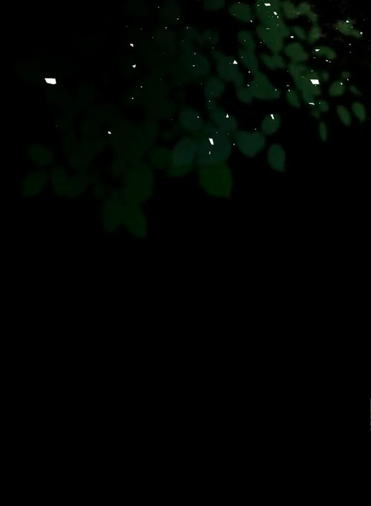 4 Príncipe problemático