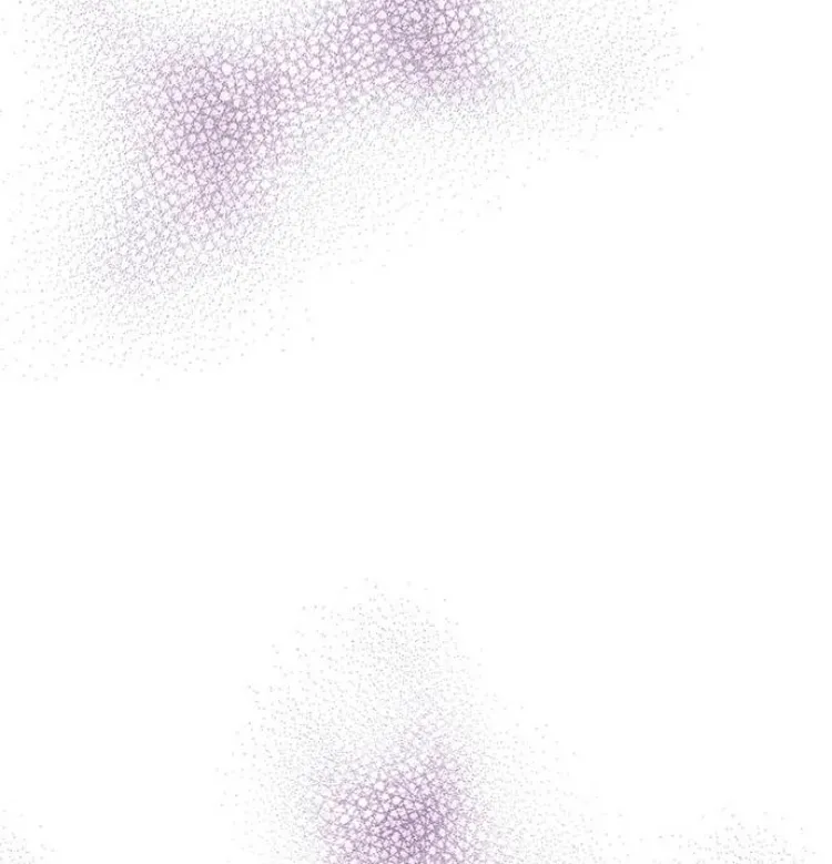 43 Príncipe problemático