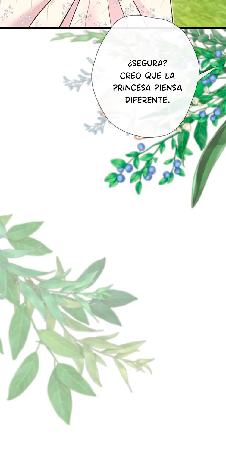 67 Príncipe problemático