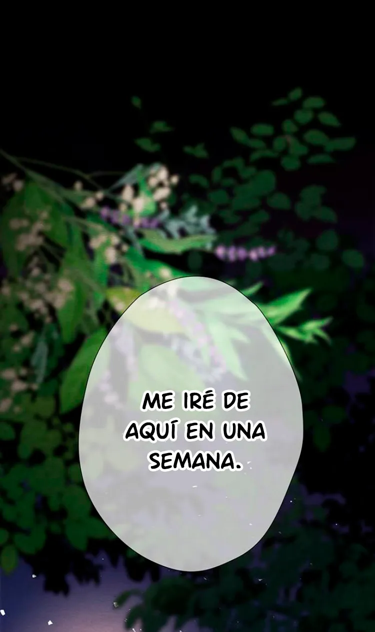 85 Príncipe problemático