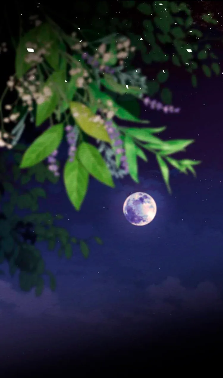 88 Príncipe problemático