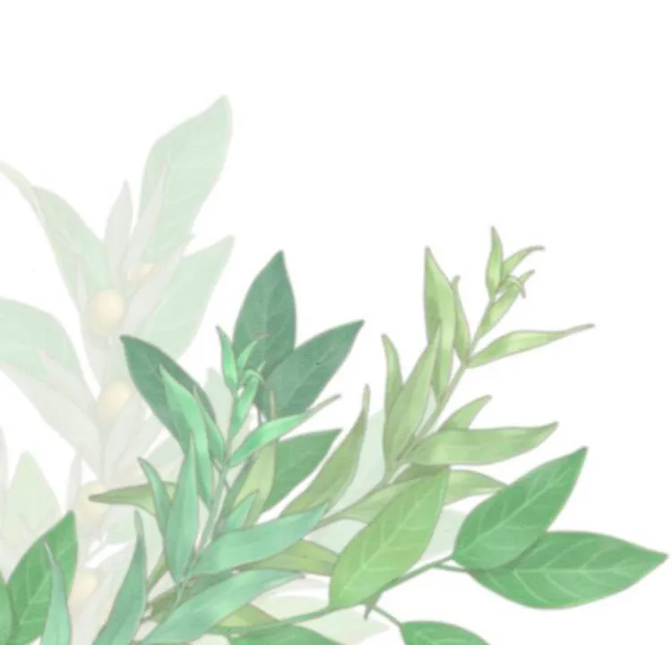 5 Príncipe problemático