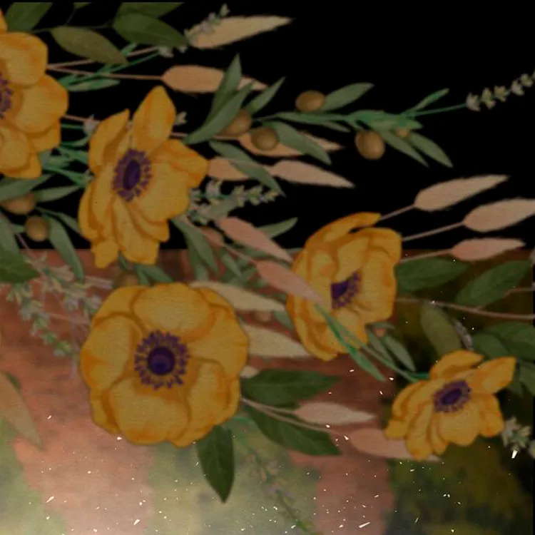 67 Príncipe problemático