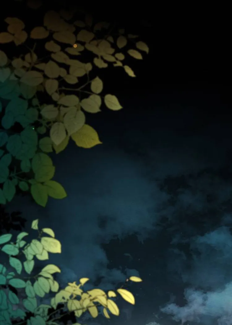 10 Príncipe problemático