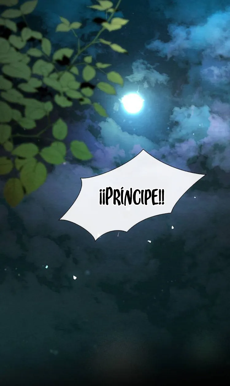 73 Príncipe problemático