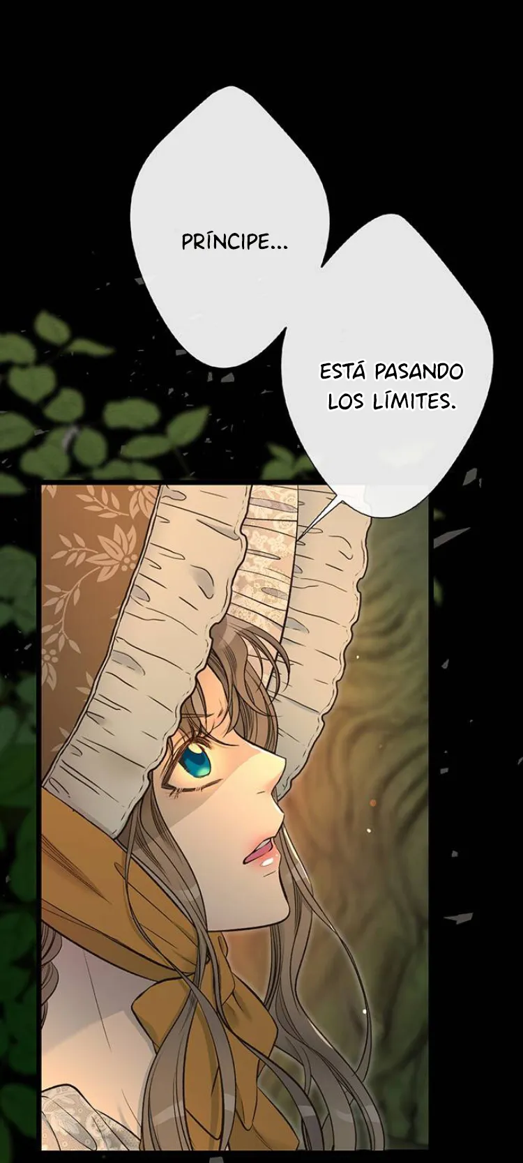 45 Príncipe problemático