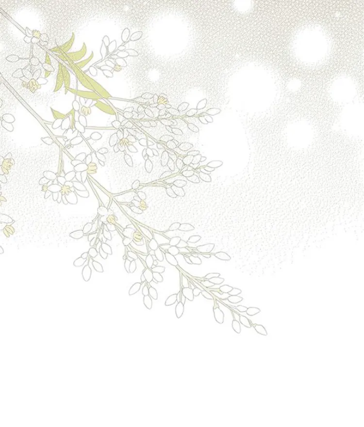 14 Príncipe problemático