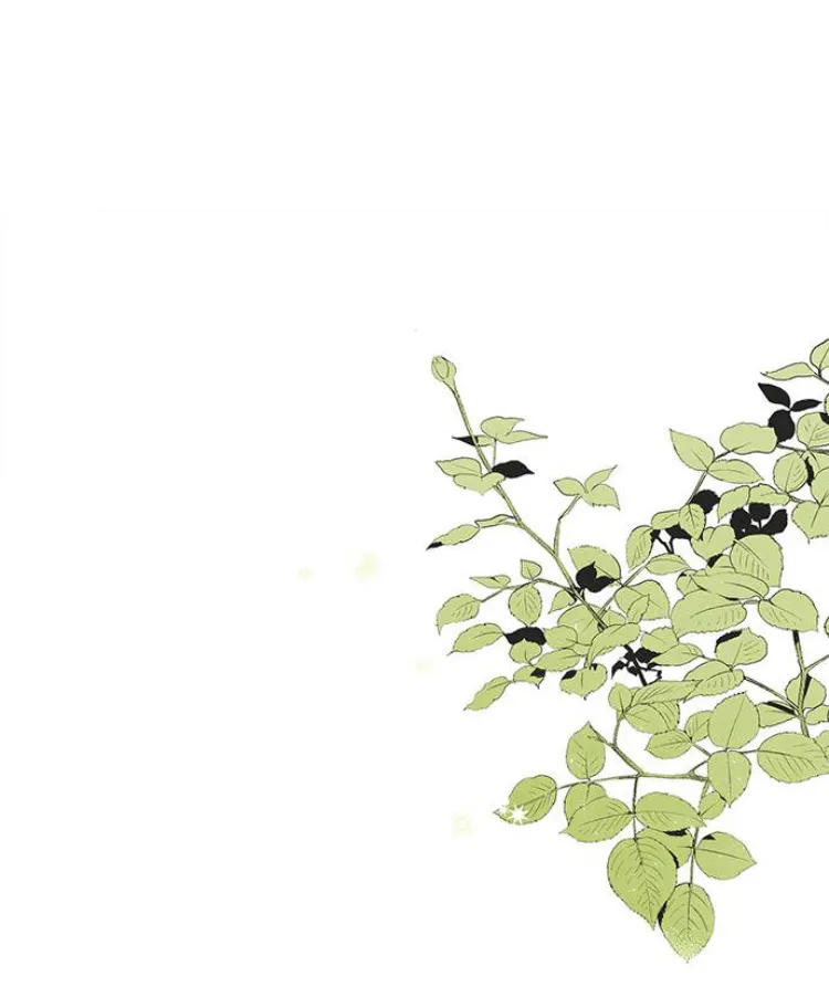 18 Príncipe problemático