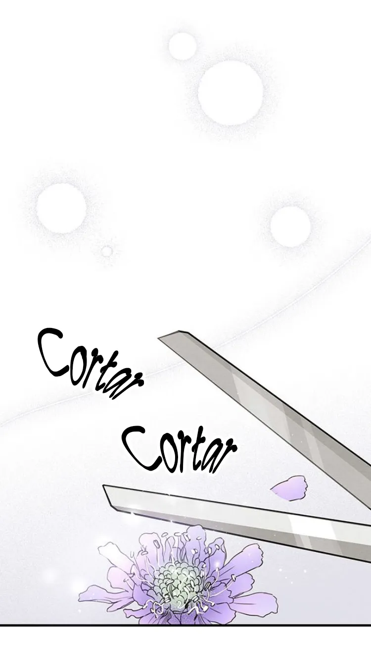 50 Príncipe problemático