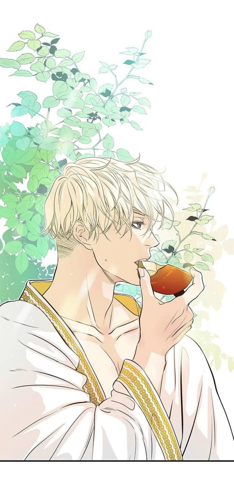 43 Príncipe problemático