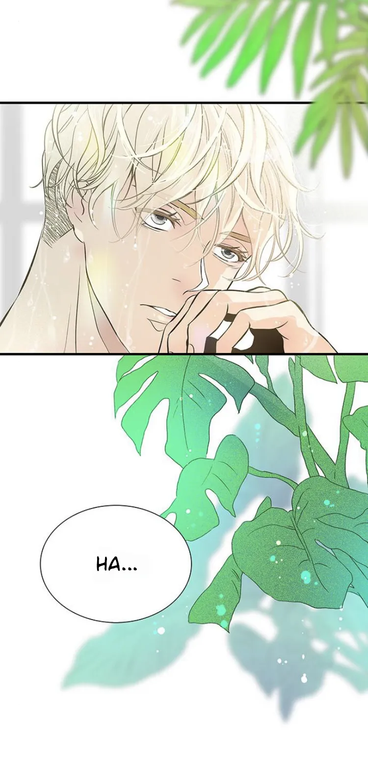 20 Príncipe problemático