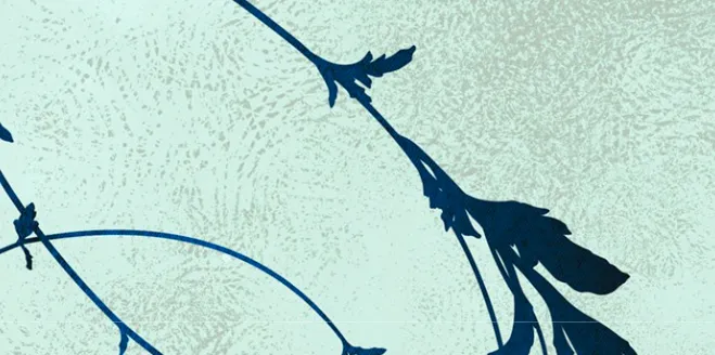 185 Príncipe problemático