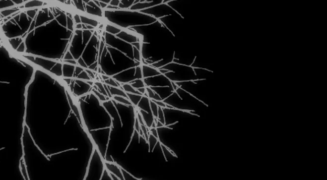 96 Príncipe problemático