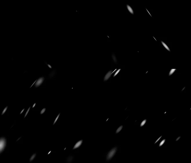 14 Príncipe problemático