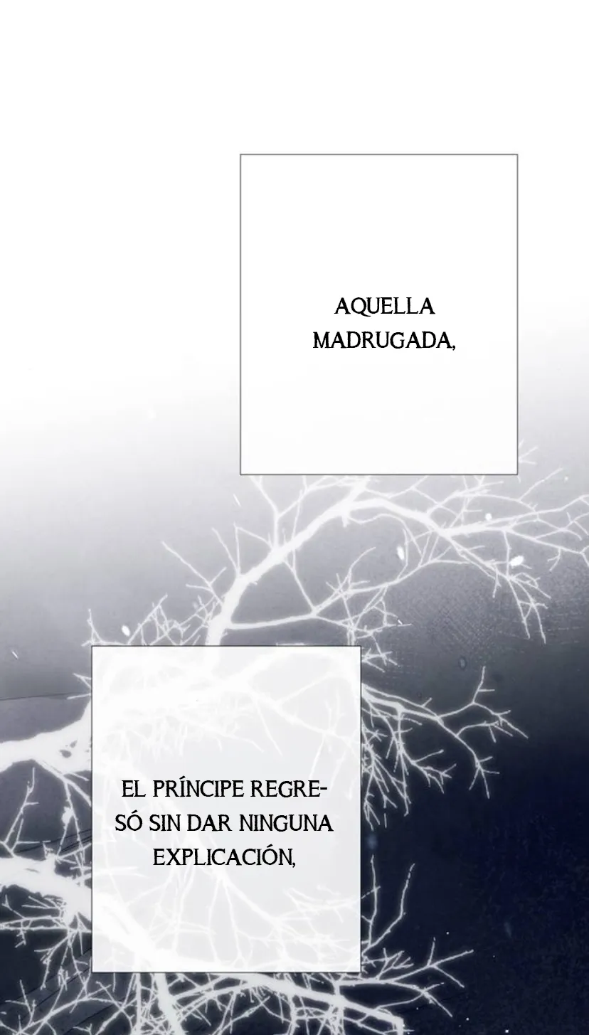 107 Príncipe problemático