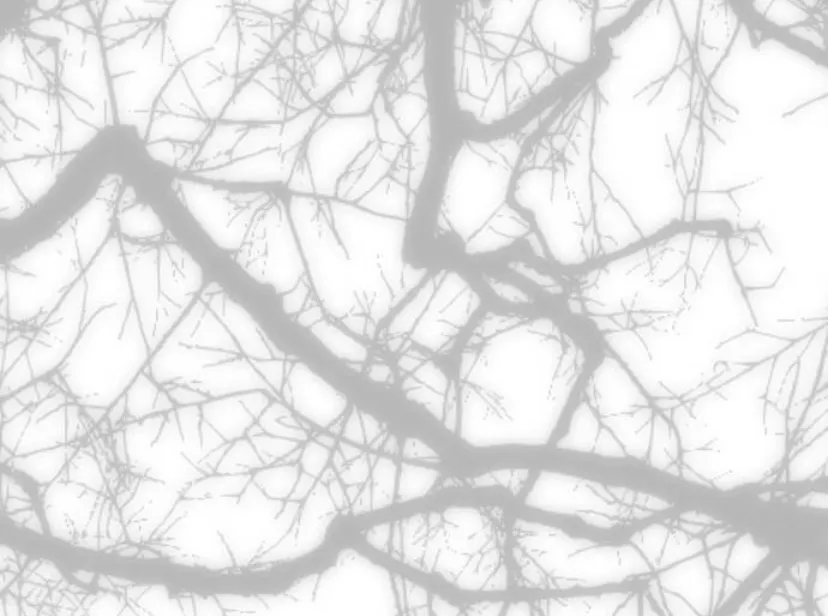 120 Príncipe problemático